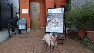 アムールワンカフェ (3)