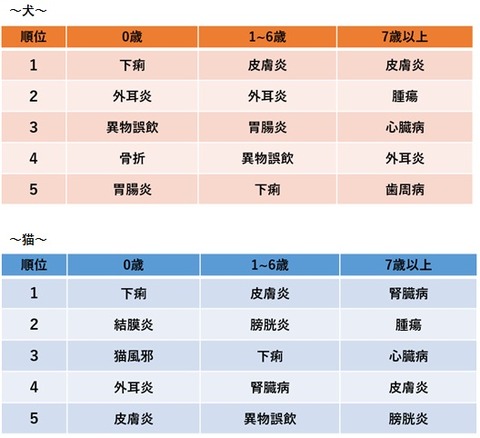 ペットの保険金請求ランキング3