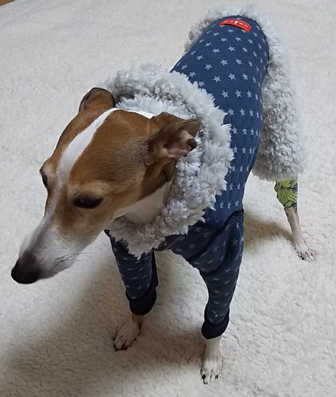 イタグレ服_ジェイ1