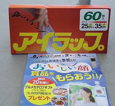 鳥人間コンテスト15