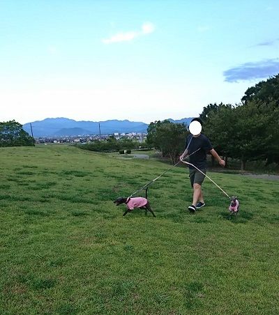 イタグレ4