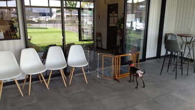 DOGRUNCAFE_ PIC (16)