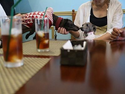 パラコード編み編み会 (14)