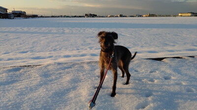 イタプーリン (3)