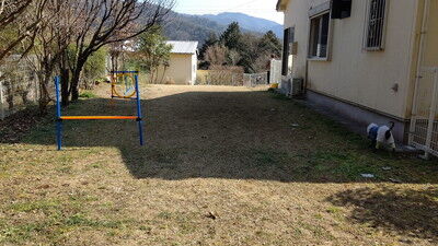 dogcafe_jolijoli (4)