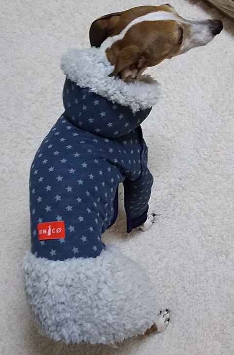 イタグレ服_ジェイ2