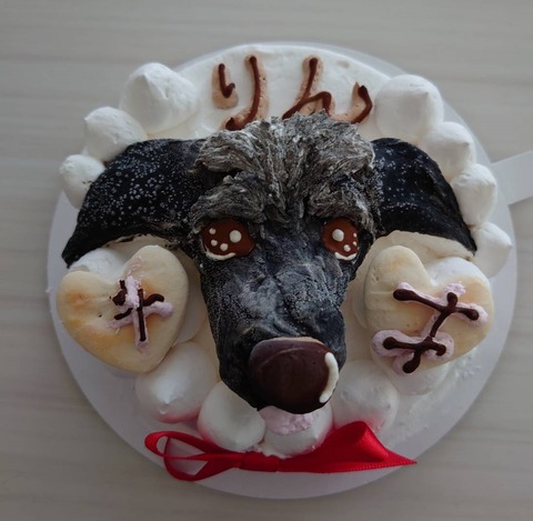 イタプーりん_４歳誕生日 (2)