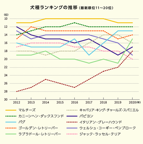 人気犬種ランキング2020_2