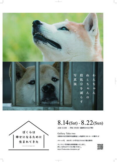 僕らは幸せになるために生まれてきた (18)