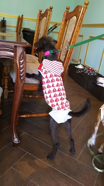 お家サロン_りん8