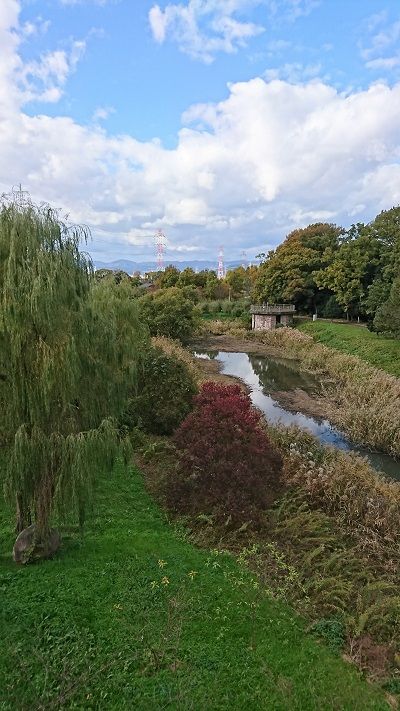 山田池公園14