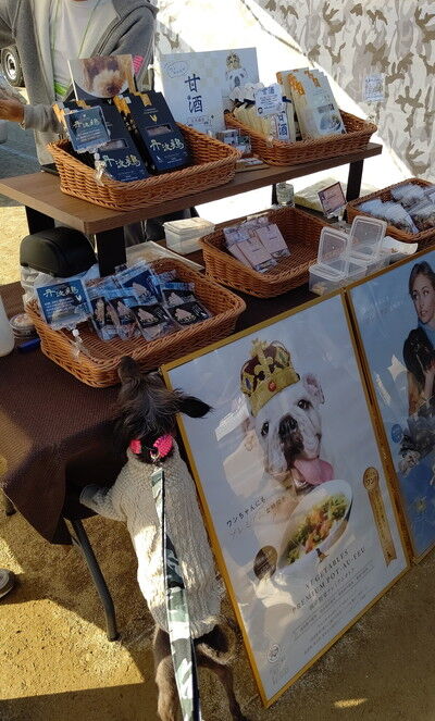 わんにゃんマルシェ住之江公園 (25)