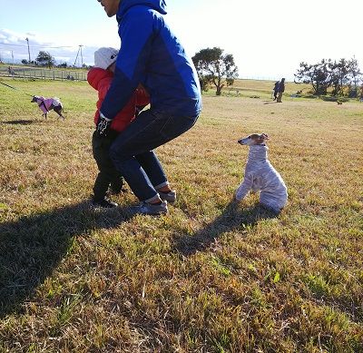 海ふれドッグラン12