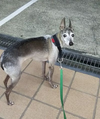 アル_健康診断1