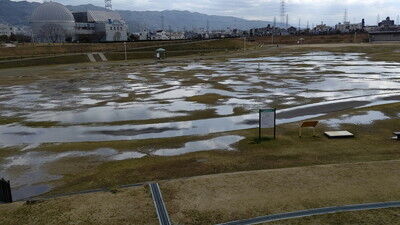 花園ドッグラン (1)