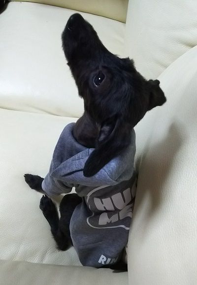 イタプー_りん1