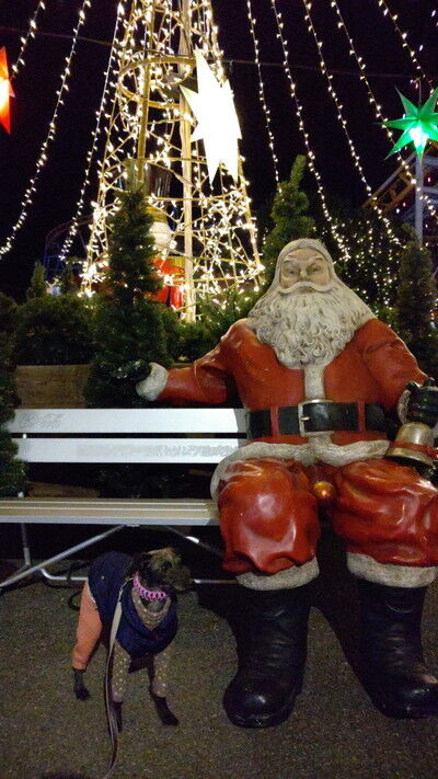 マリーシティ12