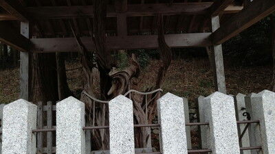 大瀧神社犬上神社 (9)