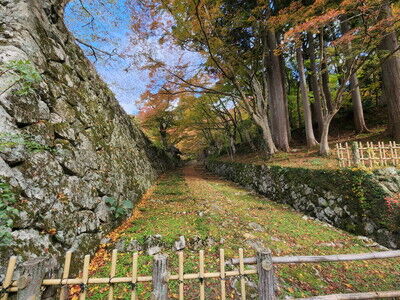 百済寺イタグレ (9)