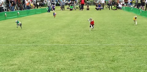 海おさ30m走こまり1