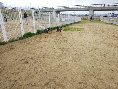 花園ドッグラン2