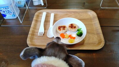 アムールワンカフェ (8)