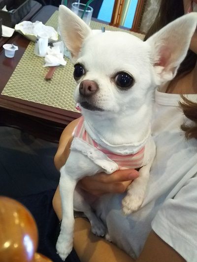 お家サロン_りん14
