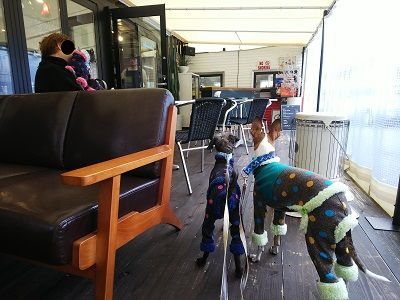 ジャンブルアップカフェ6