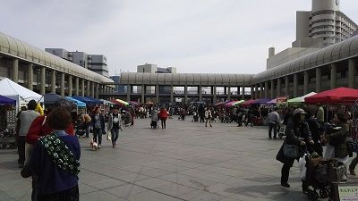 わんわんマルシェ5