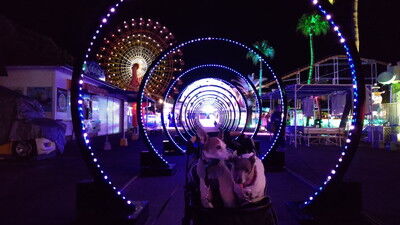 マリーナシティ (1)