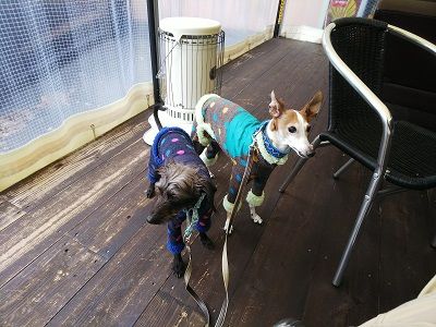 ジャンブルアップカフェ7