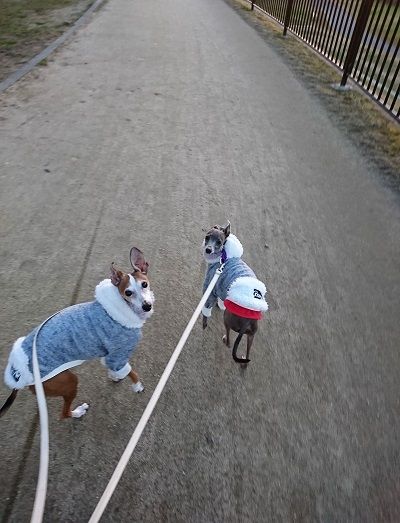 花園ラグビー場4