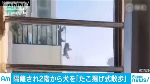 2階から犬を散歩