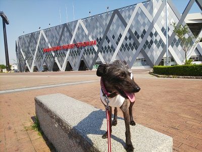 花園ラグビー場