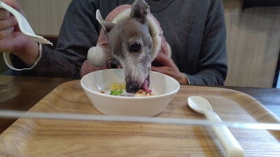 アムールワンカフェ (6)