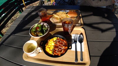 ロゴスランドドッグラン (21)