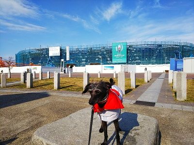 花園ラグビー場