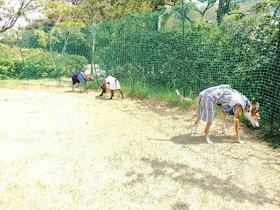 尼テクラストラン12