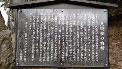 大瀧神社犬上神社 (3)