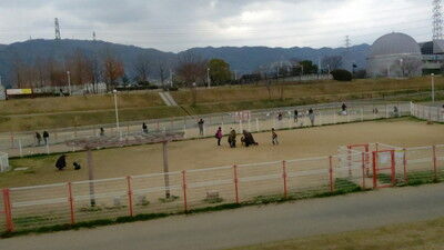 イタグレ花園中央公園 (14)