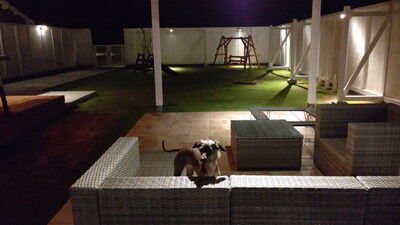 ドッググランピング滋賀高島イタグレ (10)