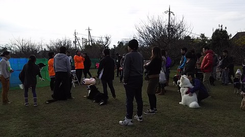 梅の郷ワン動会_10