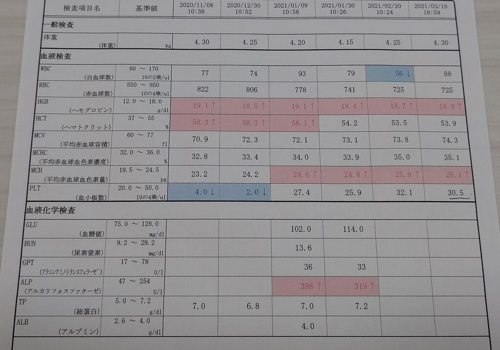 ステロイド こまりーーーーーんこ