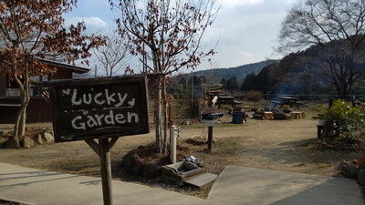 森のラッキーガーデン犬 (6)