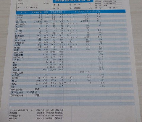こまり血液検査 (2)