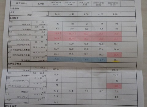 イタグレこまり_介在性血小板減少症 (3)