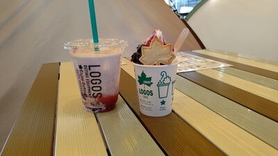 ロゴスランドドッグラン (20)