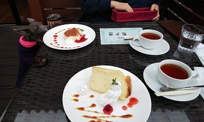 CAFE散歩道