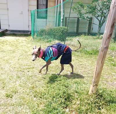 尼テクラストラン3