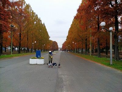 鶴見緑地1